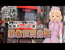 【シンプル車載動画投稿祭2026】都電のようで都電じゃない 散策きっぷで楽しむ 東急世田谷線【ナースロボ_タイプT】