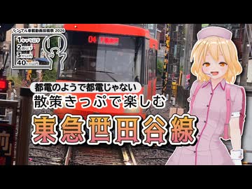 【シンプル車載動画投稿祭2026】都電のようで都電じゃない 散策きっぷで楽しむ 東急世田谷線【ナースロボ_タイプT】