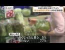 石破内閣支持率 27.6%