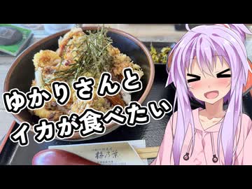 ゆかりさんとイカ食べて橋の前でデュエルした時の話【XSR700】