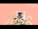 オルラヤのガーデニア【instrumental】