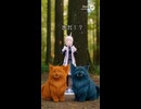 瞬間移動で世界一周