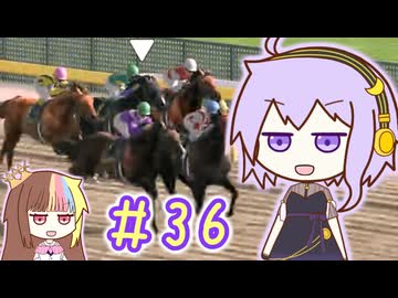 馬主のゆかりさん part36【ダビスタswitch】