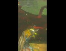 【ティアキン】アッカレ砦跡のファントムガノン　ゼルダの伝説ティアーズオブザキングダムNintendo Switch 2 Edition
