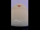 大脳的なランデブー / Kanaria (acapella cover)
