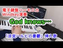 God knows…／涼宮ハルヒの憂鬱 挿入歌【電子鍵盤ハーモニカWindkey演奏】 #ハルヒ弾いてみた