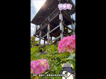 【お写んぽ！！】善峯寺の紫陽花！