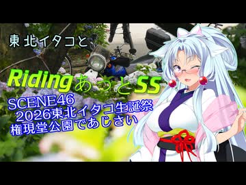東北イタコとRidingあっとSS SCENE46【東北イタコ誕生祭2026　権現堂公園のあじさい】