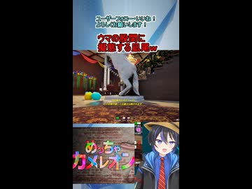 ショート動画【配信切り抜き】めっちゃカメレオン！馬の股間に擬態して周りに笑われる凪尾ｗ