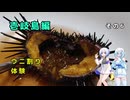 雪さん＆ななさんの離島旅　壱岐島編　その6　～穫れたて生雲丹～