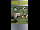 オートポリスで完全勝利した UC