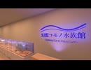【VRChatワールド紹介】幻想コモノ水族館