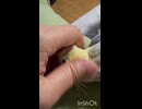 一人一人は平和□
