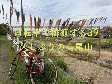 自転車で徘徊する 39 ~久しぶりの高尾山~