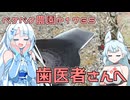 2026年6月23日　日記1765　ついに奥歯の改善工事が始まるので歯医者さん行ってきたよ