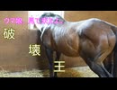 ウマ娘、見て来たよ。