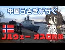 中国うさぎが行く！ノルウェー・オスロ旅行【北欧旅その①】