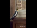 ストーカー発動！