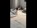 おはようございます