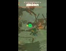 【ティアキン】アッカレ地方の平和を脅かす魔物の群れ　ゼルダの伝説ティアーズ オブザキングダムNintendo Switch 2 Edition