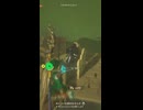 【ティアキン】ケポラ峠のイエロック　ゼルダの伝説ティアーズ オブザキングダムNintendo Switch 2 Edition