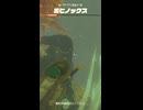 【ティアキン】マーリン湾東の黒ヒノックス　ゼルダの伝説ティアーズ オブ ザ キングダムNintendo Switch 2 Edition