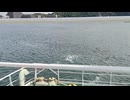 アメリカの駆逐艦〔フレッチャー級駆逐艦〕の駆逐艦ザ・サリヴァンズ、駆逐艦スティーヴァン・ポッター、駆逐艦ティンゲイの第二次世界大戦時の乗組員の気分になれるアメリカ海軍WW2当時の大太平洋戦争カラー映像
