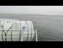 アメリカの駆逐艦〔フレッチャー級駆逐艦〕の駆逐艦ポーターフィールド、駆逐艦ピッキング、駆逐艦ハルゼー・パウエルの第二次世界大戦時の乗組員の気分になれるアメリカ海軍WW2当時の大太平洋戦争カラー映像