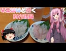 琴葉姉妹と行く釣行記録（海釣り編part49）