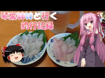 琴葉姉妹と行く釣行記録（海釣り編part49）