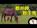 都井岬 野生馬とドライブとメガラーメンと 【広島弁中国うさぎ】