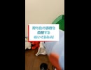 持ち主の秘密を暴露するぬいぐるみAI