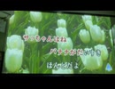 カラオケ「サッちゃん」童謡