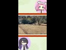 【お城解説】日本のお城ひとくち解説　#14　山城の居館