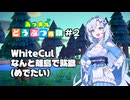 【あつ森#2】WhiteCul、なんと離島で就職(めでたい)【25動グループフェス後夜祭】