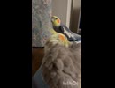 思い出した？