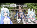 2026年6月24日　日記1766　芝川沿いの用水路の近くを走り続けるよ