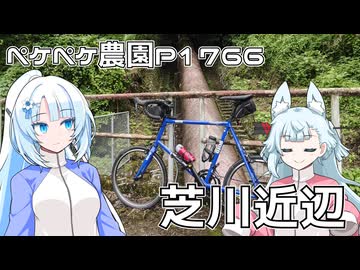 2026年6月24日　日記1766　芝川沿いの用水路の近くを走り続けるよ