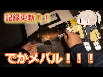 【春日部つむぎと見る！】限界エギング！編