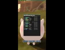 【マスターオブエピック】ウミユールカオスバード3次シップを目指す。(Umi-yur.Third Ship.Chaos Bird.])【Master of Epic】