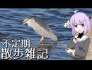 不定期散歩雑記_109 - ゴイサギ