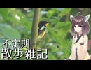 不定期散歩雑記_110 - 三瓶探鳥