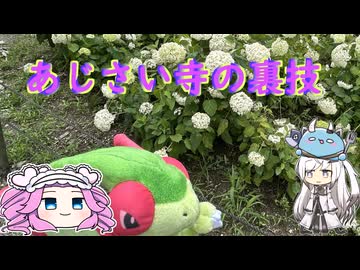 転生したら貧脚スライムだった件について　福岡千光寺の裏技.mp46