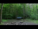 【VRChatワールド紹介】Savage Gulf Campsite 3DGS