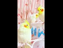 【無限ループ】ミッキーマウスマーチがなかなか終わらないｗｗ