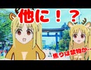 伊地知ニジカによる本能的なベリークッション栽培です。５時間４３秒の保証付きなので安心です。