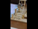 結構元気なキンカチョウのショート動画2026 6 25