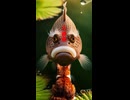 【創作短編】人面魚
