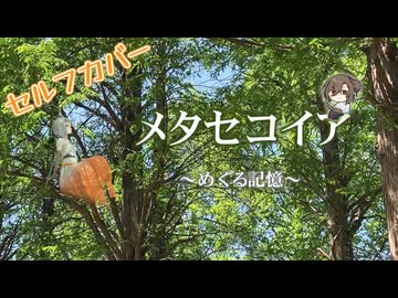 【セルフカバー】メタセコイア～めぐる記憶～ / Chaosseeker