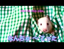 【音街ウナ＆歌愛ユキ＆初音ミク＆GUMI＆flower】なんちゅ〜こった